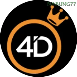 Pragmatic4d